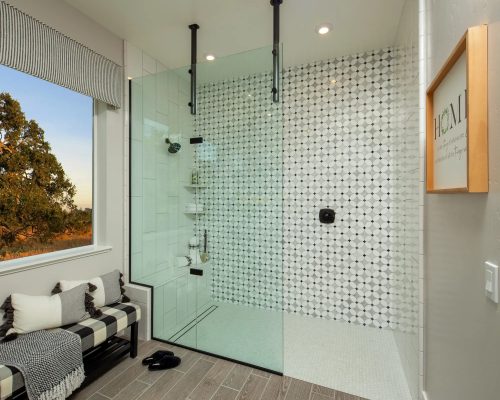 3225 Primary shower